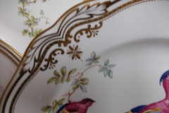 SPODE CHELSEA BIRD Y8555- DINNER  PLATE ..... https://www.jaapiesfinechinastore.com