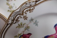 SPODE CHELSEA BIRD Y8555- DINNER  PLATE ..... http://jaapiesfinechinastore.com