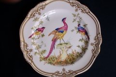 SPODE CHELSEA BIRD Y8555- DINNER  PLATE ..... http://jaapiesfinechinastore.com