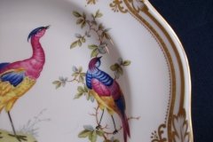 SPODE CHELSEA BIRD Y8555- DINNER  PLATE ..... http://jaapiesfinechinastore.com