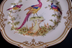 SPODE CHELSEA BIRD Y8555- DINNER  PLATE ..... https://www.jaapiesfinechinastore.com