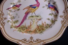 SPODE CHELSEA BIRD Y8555- DINNER  PLATE ..... http://jaapiesfinechinastore.com