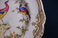 SPODE CHELSEA BIRD Y8555- DINNER  PLATE ..... https://www.jaapiesfinechinastore.com