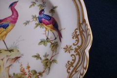 SPODE CHELSEA BIRD Y8555- DINNER  PLATE ..... http://jaapiesfinechinastore.com