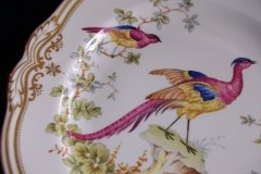 SPODE CHELSEA BIRD Y8555- DINNER  PLATE ..... http://jaapiesfinechinastore.com
