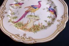 SPODE CHELSEA BIRD Y8555- DINNER  PLATE ..... http://jaapiesfinechinastore.com