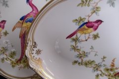 SPODE CHELSEA BIRD Y8555-   FISH PLATTER  .....   http://jaapiesfinechinastore.com