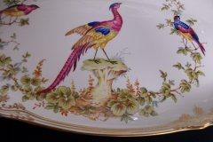 SPODE CHELSEA BIRD Y8555-   FISH PLATTER  .....   http://jaapiesfinechinastore.com
