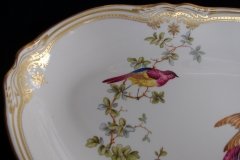 SPODE CHELSEA BIRD Y8555-   FISH PLATTER  .....   http://jaapiesfinechinastore.com