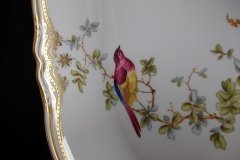 SPODE CHELSEA BIRD Y8555-   FISH PLATTER  .....   http://jaapiesfinechinastore.com