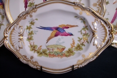 SPODE CHELSEA BIRD Y8555-   GRAVY BOAT & UNDERPLATE  .....   https://www.jaapiesfinechinastore.com