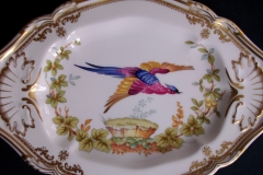 SPODE CHELSEA BIRD Y8555-   GRAVY BOAT & UNDERPLATE  .....   https://www.jaapiesfinechinastore.com