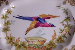 SPODE CHELSEA BIRD Y8555-   GRAVY BOAT & UNDERPLATE  .....   https://www.jaapiesfinechinastore.com