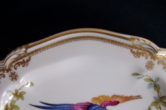 SPODE CHELSEA BIRD Y8555-   GRAVY BOAT & UNDERPLATE  .....   https://www.jaapiesfinechinastore.com