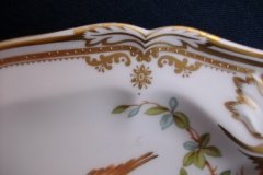 SPODE CHELSEA BIRD Y8555-   GRAVY BOAT & UNDERPLATE  .....   http://jaapiesfinechinastore.com