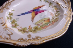 SPODE CHELSEA BIRD Y8555-   GRAVY BOAT & UNDERPLATE  .....   https://www.jaapiesfinechinastore.com