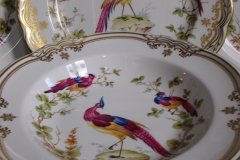 SPODE CHELSEA BIRD Y8555-  RIM SOUP BOWL  ..... http://jaapiesfinechinastore.com
