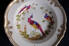 SPODE CHELSEA BIRD Y8555-  RIM SOUP BOWL  ..... https://www.jaapiesfinechinastore.com