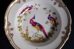 SPODE CHELSEA BIRD Y8555-  RIM SOUP BOWL  ..... http://jaapiesfinechinastore.com