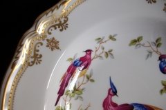 SPODE CHELSEA BIRD Y8555-  RIM SOUP BOWL  ..... http://jaapiesfinechinastore.com