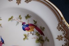 SPODE CHELSEA BIRD Y8555-  RIM SOUP BOWL  ..... http://jaapiesfinechinastore.com