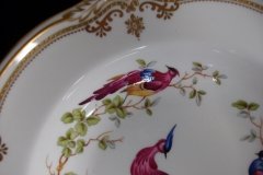 SPODE CHELSEA BIRD Y8555-  RIM SOUP BOWL  ..... http://jaapiesfinechinastore.com