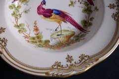 SPODE CHELSEA BIRD Y8555-  RIM SOUP BOWL  ..... http://jaapiesfinechinastore.com