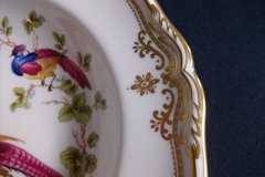 SPODE CHELSEA BIRD Y8555-  RIM SOUP BOWL  ..... http://jaapiesfinechinastore.com