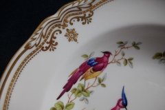 SPODE CHELSEA BIRD Y8555-  RIM SOUP BOWL  ..... http://jaapiesfinechinastore.com