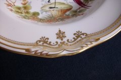 SPODE CHELSEA BIRD Y8555-  RIM SOUP BOWL  ..... http://jaapiesfinechinastore.com