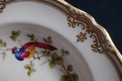 SPODE CHELSEA BIRD Y8555-  RIM SOUP BOWL  ..... https://www.jaapiesfinechinastore.com