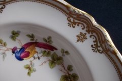 SPODE CHELSEA BIRD Y8555-  RIM SOUP BOWL  ..... http://jaapiesfinechinastore.com