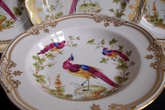 SPODE CHELSEA BIRD Y8555-  RIM SOUP BOWL  ..... https://www.jaapiesfinechinastore.com