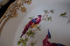 SPODE CHELSEA BIRD Y8555-  RIM SOUP BOWL  ..... http://jaapiesfinechinastore.com