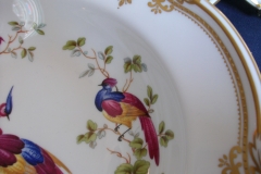 SPODE CHELSEA BIRD Y8555-  RIM SOUP BOWL  ..... https://www.jaapiesfinechinastore.com