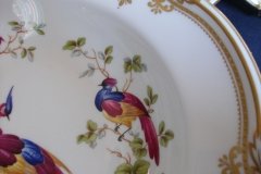 SPODE CHELSEA BIRD Y8555-  RIM SOUP BOWL  ..... http://jaapiesfinechinastore.com