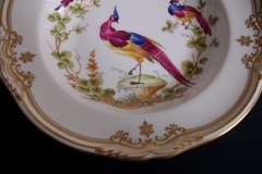 SPODE CHELSEA BIRD Y8555-  RIM SOUP BOWL  ..... https://www.jaapiesfinechinastore.com