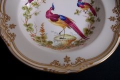 SPODE CHELSEA BIRD Y8555-  RIM SOUP BOWL  ..... http://jaapiesfinechinastore.com