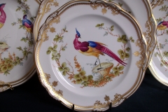 SPODE CHELSEA BIRD Y8555- SALAD PLATE ..... https://www.jaapiesfinechinastore.com