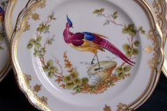 SPODE CHELSEA BIRD Y8555- SALAD PLATE ..... https://www.jaapiesfinechinastore.com