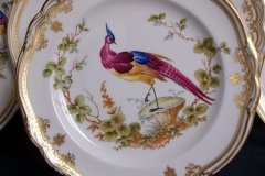 SPODE CHELSEA BIRD Y8555- SALAD PLATE ..... http://jaapiesfinechinastore.com