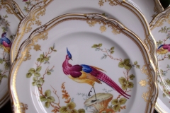 SPODE CHELSEA BIRD Y8555- SALAD PLATE ..... https://www.jaapiesfinechinastore.com