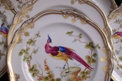 SPODE CHELSEA BIRD Y8555- SALAD PLATE ..... http://jaapiesfinechinastore.com