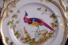 SPODE CHELSEA BIRD Y8555- SALAD PLATE ..... http://jaapiesfinechinastore.com