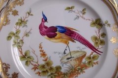 SPODE CHELSEA BIRD Y8555- SALAD PLATE ..... http://jaapiesfinechinastore.com
