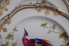 SPODE CHELSEA BIRD Y8555- SALAD PLATE ..... http://jaapiesfinechinastore.com