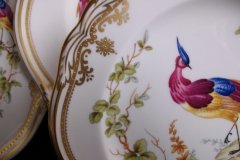 SPODE CHELSEA BIRD Y8555- SALAD PLATE ..... http://jaapiesfinechinastore.com