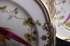 SPODE CHELSEA BIRD Y8555- SALAD PLATE ..... http://jaapiesfinechinastore.com