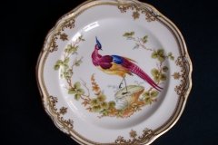 SPODE CHELSEA BIRD Y8555- SALAD PLATE ..... http://jaapiesfinechinastore.com