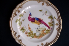 SPODE CHELSEA BIRD Y8555- SALAD PLATE ..... https://www.jaapiesfinechinastore.com